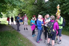 Sonntagberg-Wallfahrt 2017