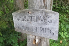 Sonntagberg-Wallfahrt 2017