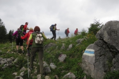 Sonntagberg-Wallfahrt 2017