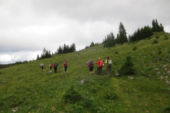 Sonntagberg-Wallfahrt 2017