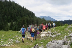 Sonntagberg-Wallfahrt 2017