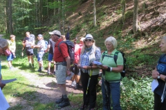 Sonntagberg-Wallfahrt 2017