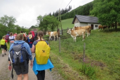 Sonntagberg-Wallfahrt 2017