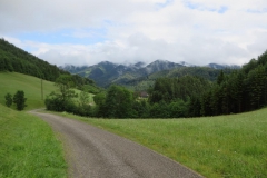 Sonntagberg-Wallfahrt 2017