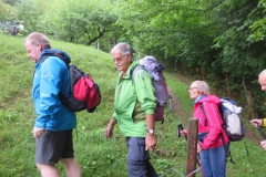 Sonntagberg-Wallfahrt 2017