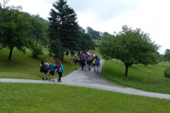 Sonntagberg-Wallfahrt 2017