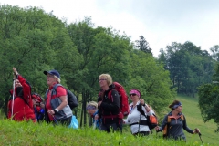 Sonntagberg-Wallfahrt 2017