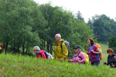 Sonntagberg-Wallfahrt 2017