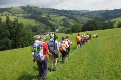 Sonntagberg-Wallfahrt 2017