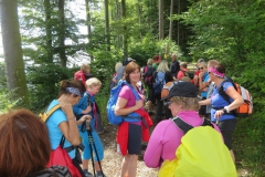Sonntagberg-Wallfahrt 2017
