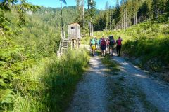 Sonntagberg-Wallfahrt 2026 - Foto: Mariazell Online