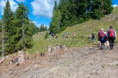 Sonntagberg-Wallfahrt 2026 - Foto: Mariazell Online