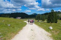 Sonntagberg-Wallfahrt 2026 - Foto: Mariazell Online
