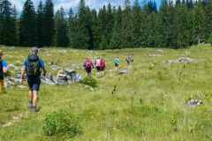 Sonntagberg-Wallfahrt 2026 - Foto: Mariazell Online