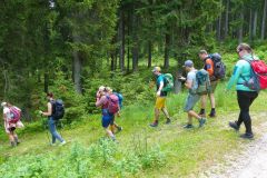 Sonntagberg-Wallfahrt 2026 - Foto: Mariazell Online