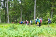 Sonntagberg-Wallfahrt 2026 - Foto: Mariazell Online