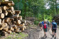 Sonntagberg-Wallfahrt 2026 - Foto: Mariazell Online