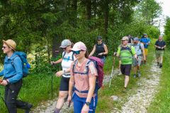 Sonntagberg-Wallfahrt 2026 - Foto: Mariazell Online