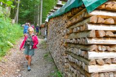Sonntagberg-Wallfahrt 2026 - Foto: Mariazell Online