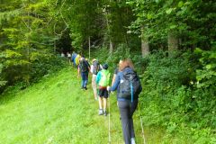 Sonntagberg-Wallfahrt 2026 - Foto: Mariazell Online