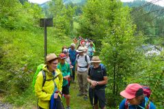 Sonntagberg-Wallfahrt 2026 - Foto: Mariazell Online