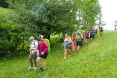 Sonntagberg-Wallfahrt 2026 - Foto: Mariazell Online