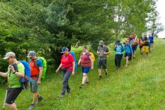 Sonntagberg-Wallfahrt 2026 - Foto: Mariazell Online