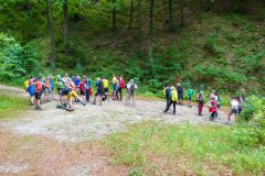 Sonntagberg-Wallfahrt 2026 - Foto: Mariazell Online