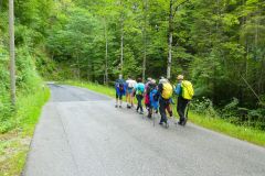 Sonntagberg-Wallfahrt 2026 - Foto: Mariazell Online