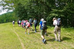 Sonntagberg-Wallfahrt 2026 - Foto: Mariazell Online