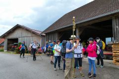 Sonntagberg-Wallfahrt 2026 - Foto: Mariazell Online