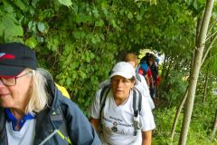 Sonntagberg-Wallfahrt 2026 - Foto: Mariazell Online