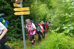 Sonntagberg-Wallfahrt 2026 - Foto: Mariazell Online