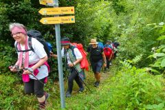 Sonntagberg-Wallfahrt 2026 - Foto: Mariazell Online