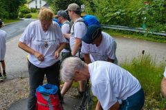 Sonntagberg-Wallfahrt 2026 - Foto: Mariazell Online