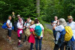 Sonntagberg-Wallfahrt 2026 - Foto: Mariazell Online