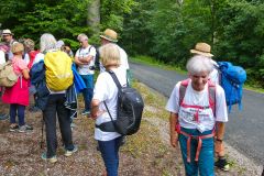 Sonntagberg-Wallfahrt 2026 - Foto: Mariazell Online