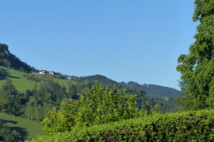 P1210216