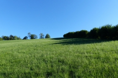 P1210235