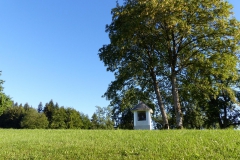 P1210237
