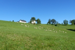 P1210243