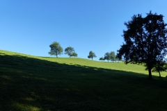 P1210246