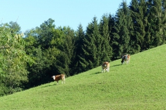 P1210269