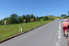 P1210351
