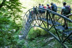P1030006