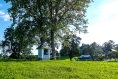 P1050695