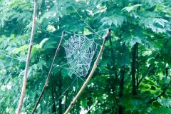 Fußwallfahrt zum Sonntagberg 2022 - Tag 1