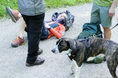 Fußwallfahrt zum Sonntagberg 2022 - Tag 1