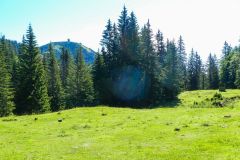 Fußwallfahrt zum Sonntagberg 2022 - Tag 1