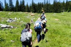 Fußwallfahrt zum Sonntagberg 2022 - Tag 1